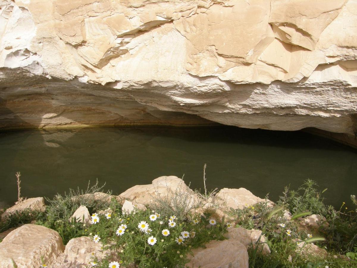 Hadass Desert Inn Dimona Exterior photo